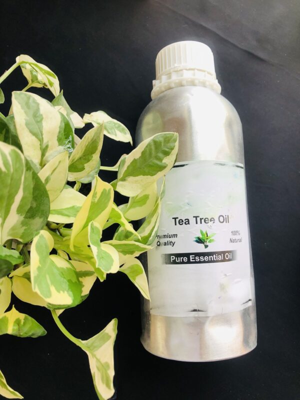 Tea Tree Essential Oil