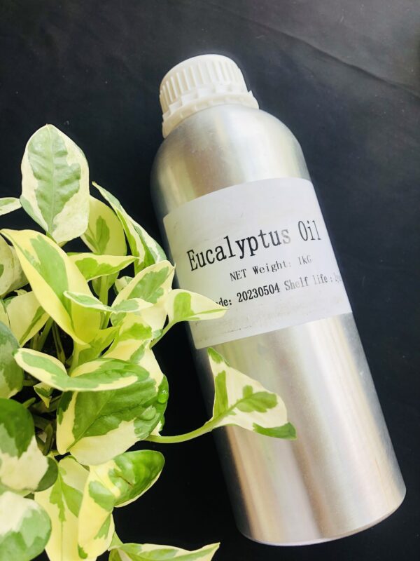 Eucalyptus Essential Oil